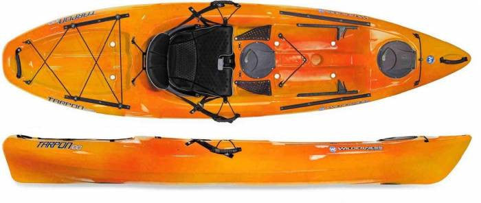 Wilderness Systems - Tarpon 100